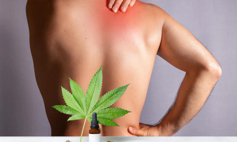 cbd balm 2000mg