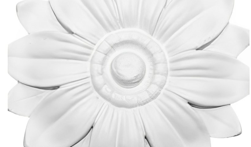 ceiling medallions