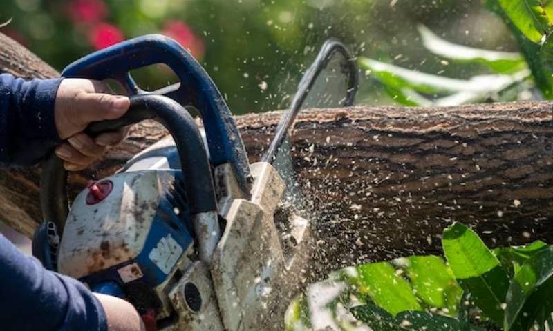 Tree Pruning Service