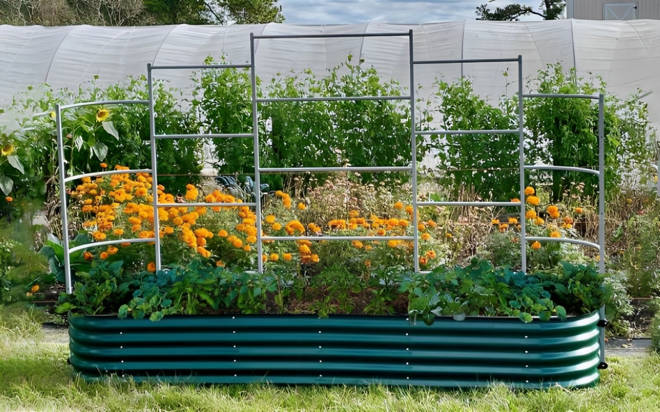 Raised Garden Bed Kits