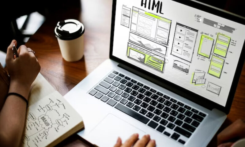 web designers in Tampa