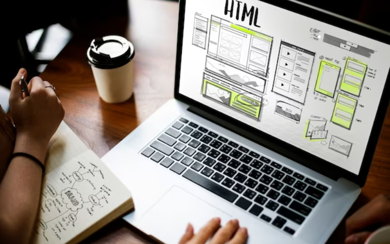 web designers in Tampa