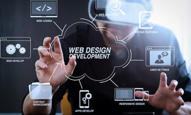 Web Designers in Tampa
