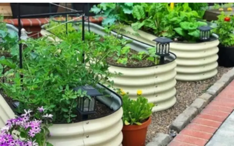 raised garden boxes