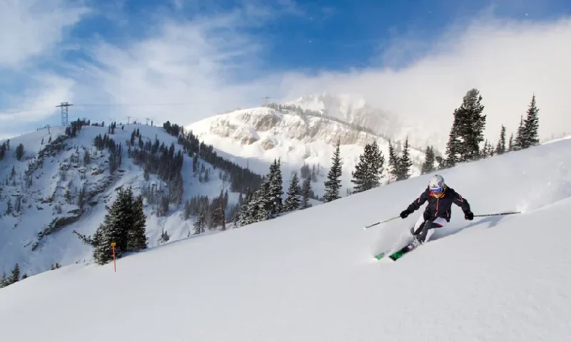 Things to Do in Jackson WY