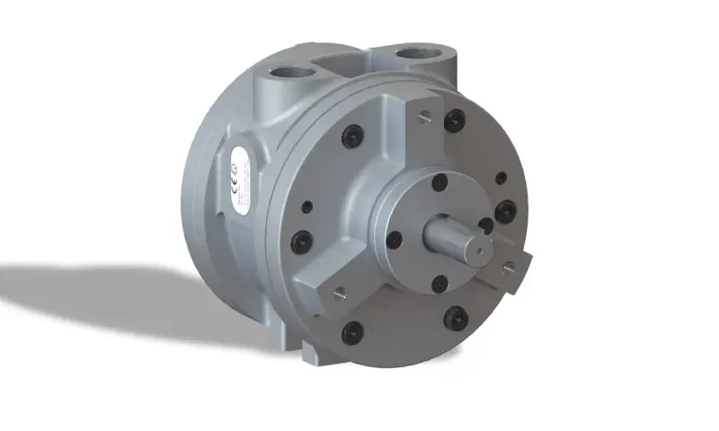 Pneumatic motors