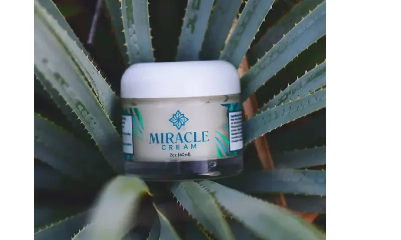 cbd beauty products