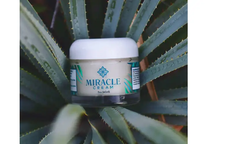 cbd beauty products